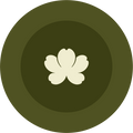 Badge icon